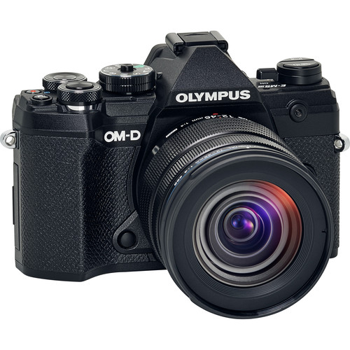 Olympus OM-D E-M5 Mark III Mirrorless Camera with 12-45mm Lens (Black)